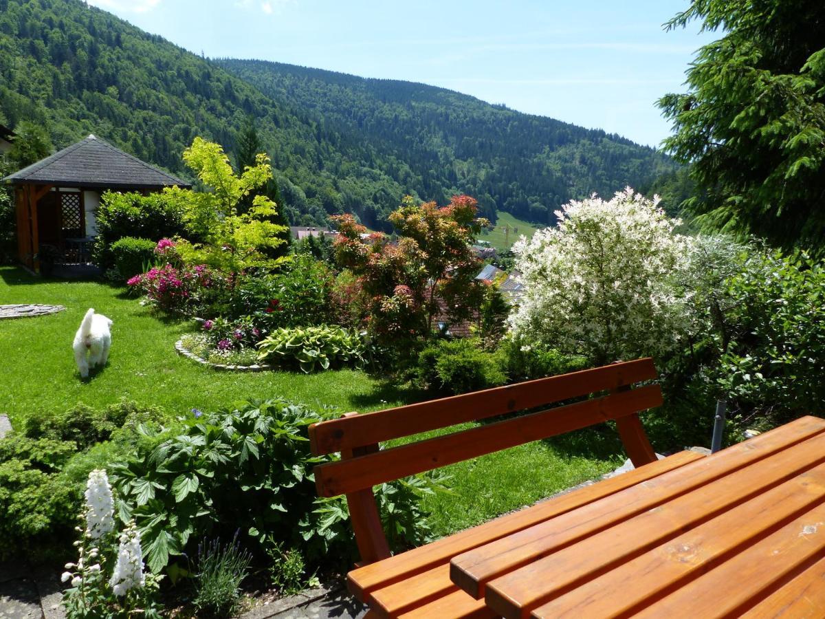 Ferienwohnung Haus zur Eule Todtnau Exterior foto